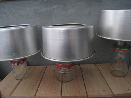 a0260021_6294044.jpg