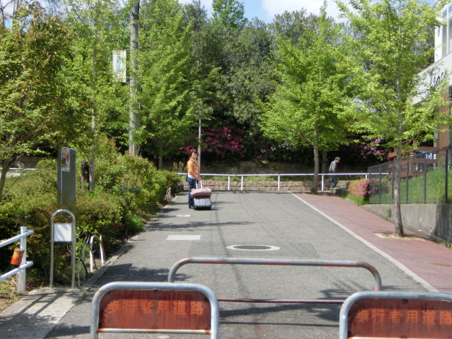 c0204121_2037139.jpg