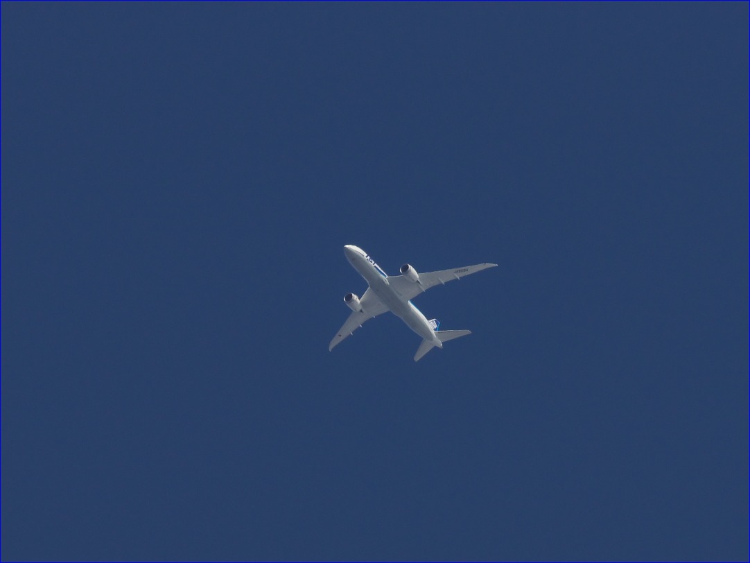 d0137627_23293868.jpg