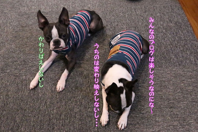 c0209932_22183810.jpg