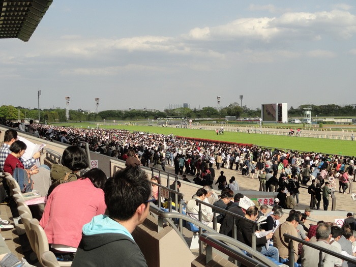f0238932_16502735.jpg