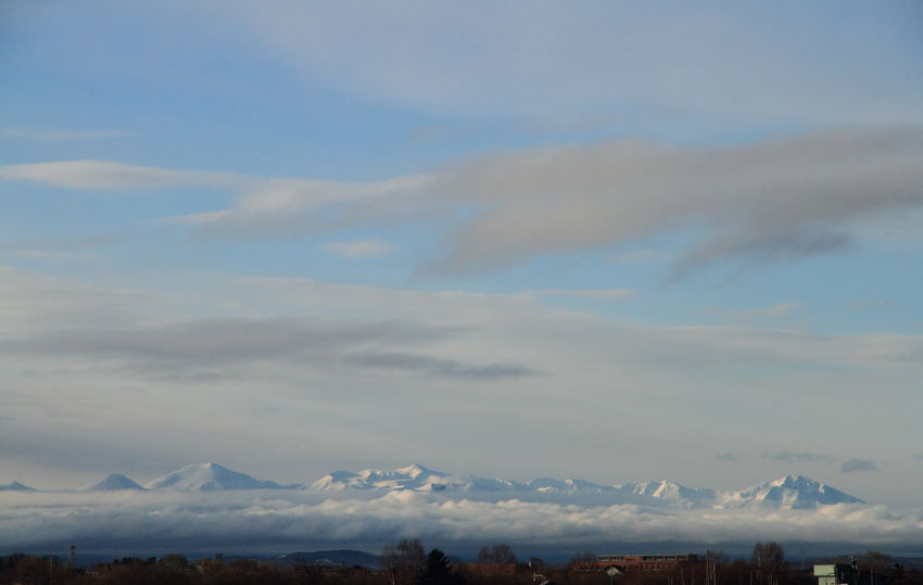 d0069235_1631874.jpg
