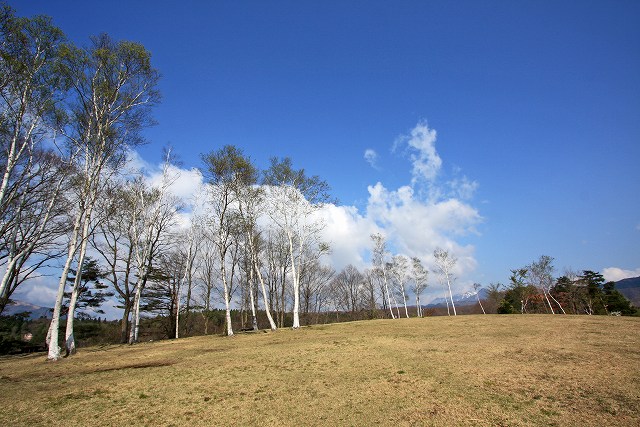 a0242438_16464591.jpg