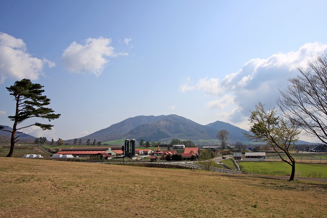 a0242438_16465446.jpg