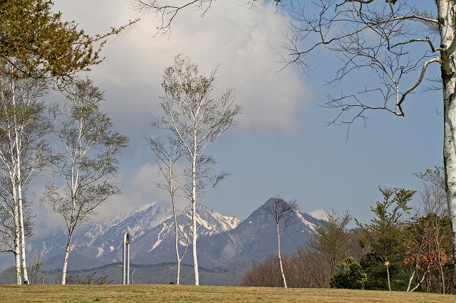 a0242438_1647116.jpg