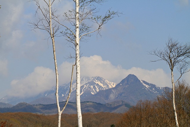 a0242438_16471729.jpg