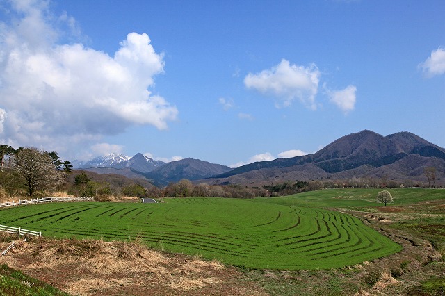 a0242438_16472728.jpg