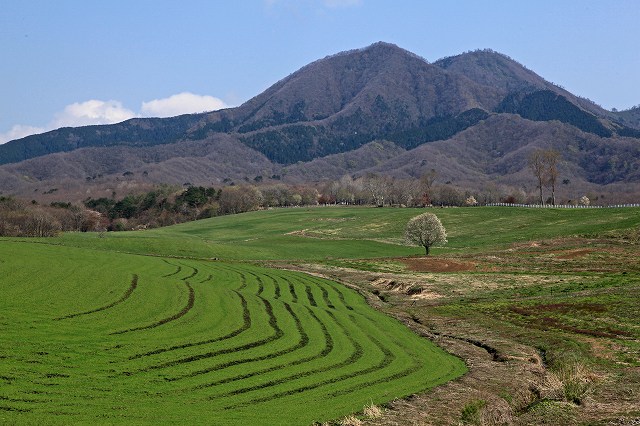 a0242438_16473110.jpg