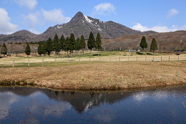 a0242438_16482696.jpg