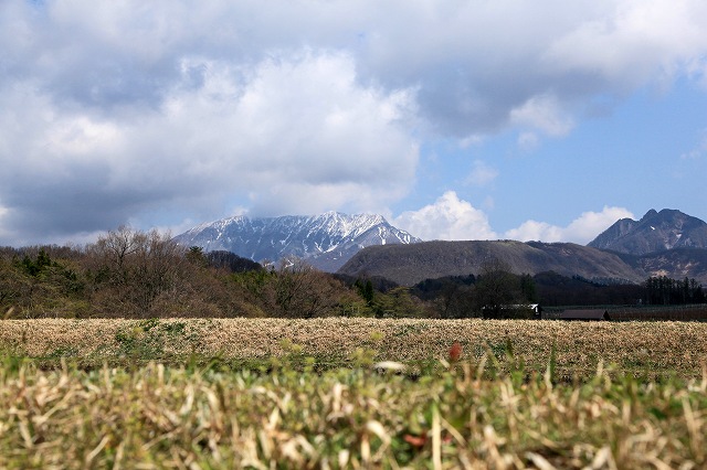a0242438_16493086.jpg