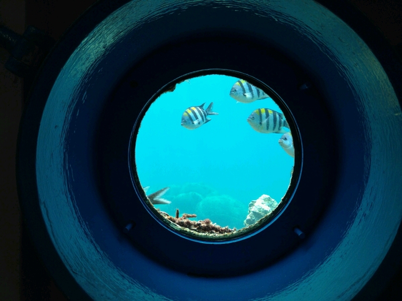 c0295742_21335849.jpg
