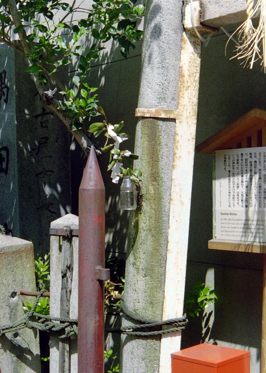 d0089742_14131518.jpg