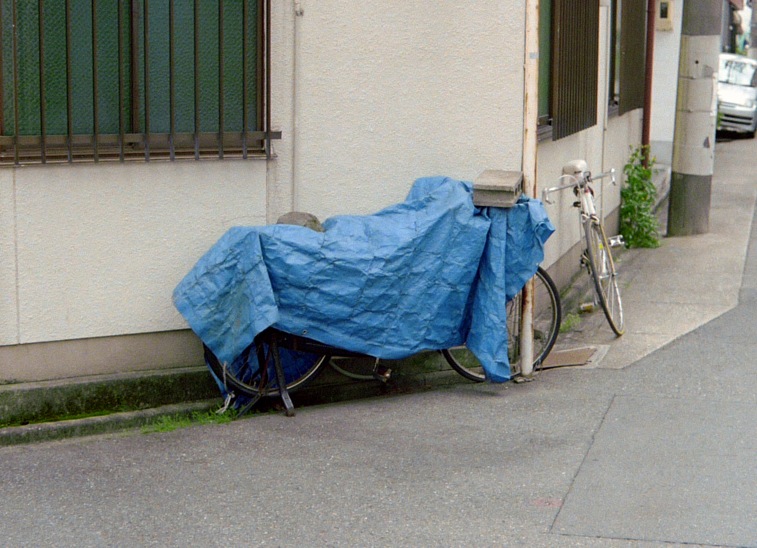 d0089742_1416460.jpg