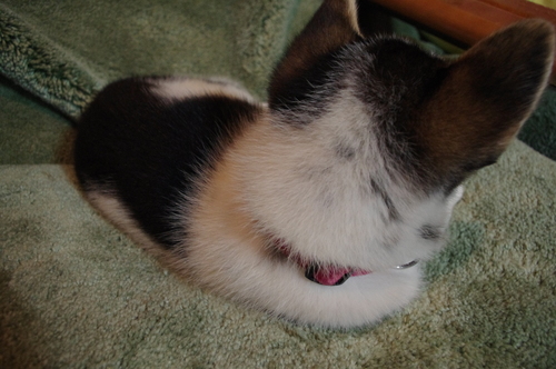 c0266644_13463130.jpg