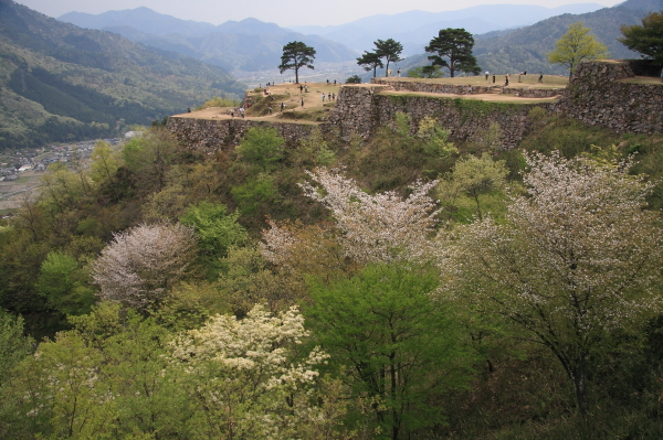 a0024250_23242980.jpg