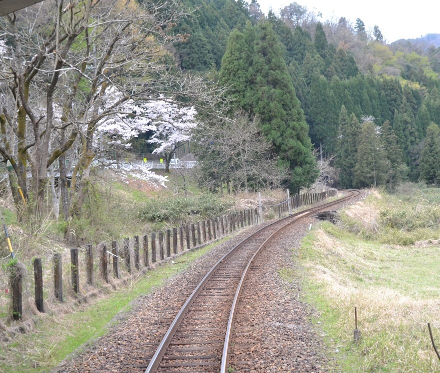 a0055650_753398.jpg