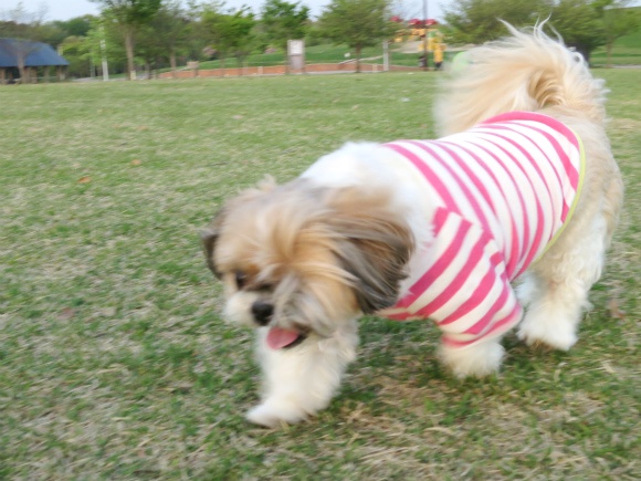 c0043751_0413893.jpg