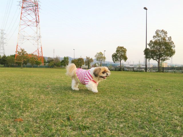 c0043751_0421566.jpg