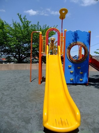 c0097558_1539234.jpg