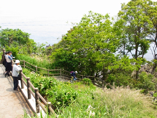 b0145863_1621347.jpg