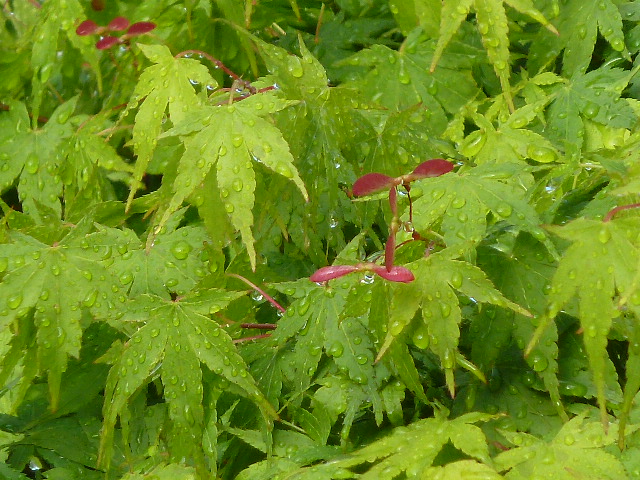 e0278968_23244935.jpg
