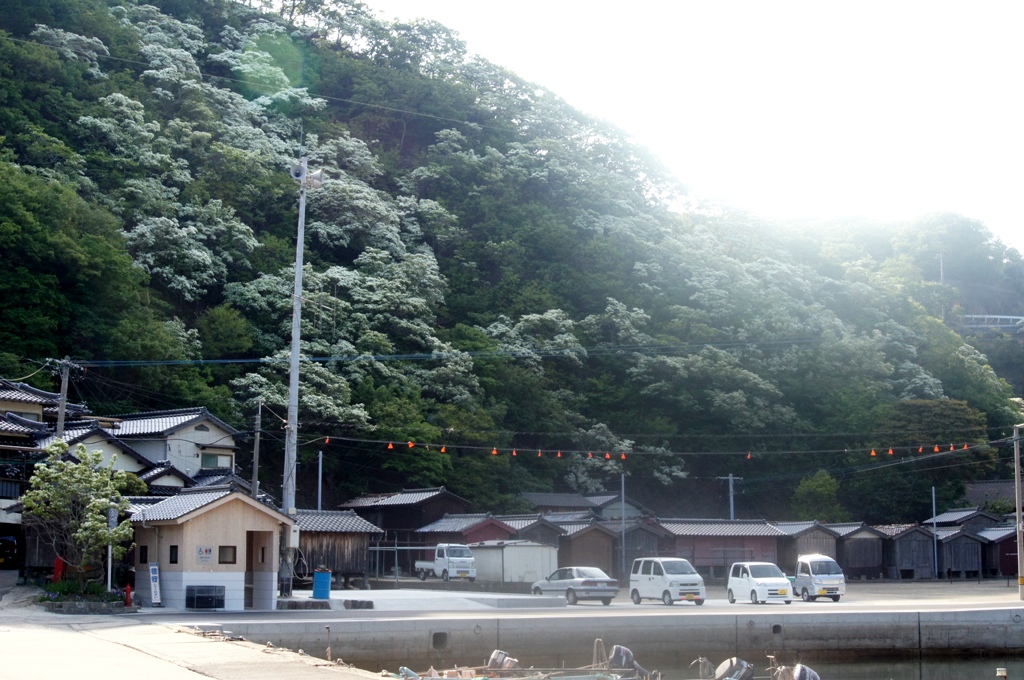 f0207669_1454522.jpg