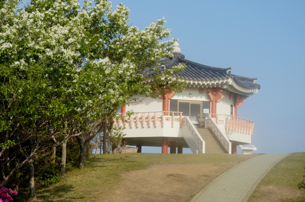 f0207669_14552587.jpg