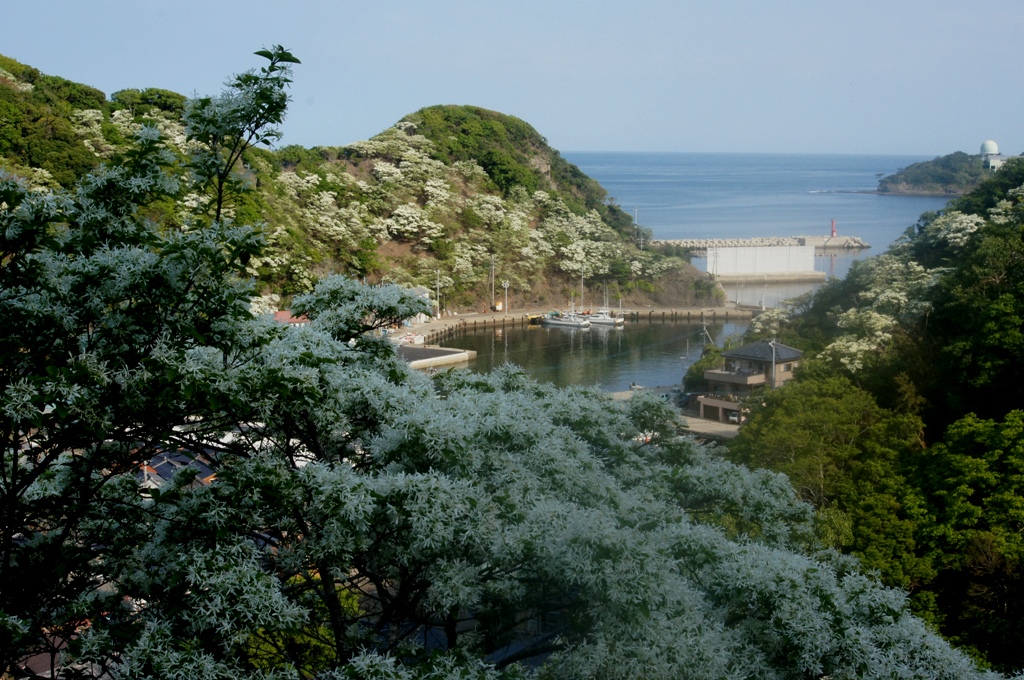 f0207669_1455977.jpg