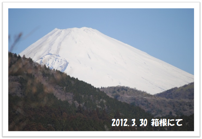 b0242873_1575831.png