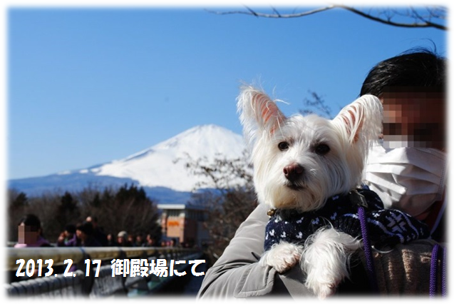 b0242873_159147.png