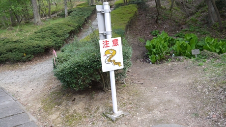 c0283778_14351841.jpg