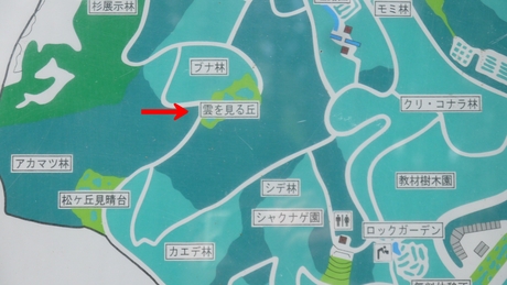 c0283778_143810100.jpg