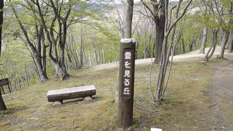 c0283778_1438441.jpg