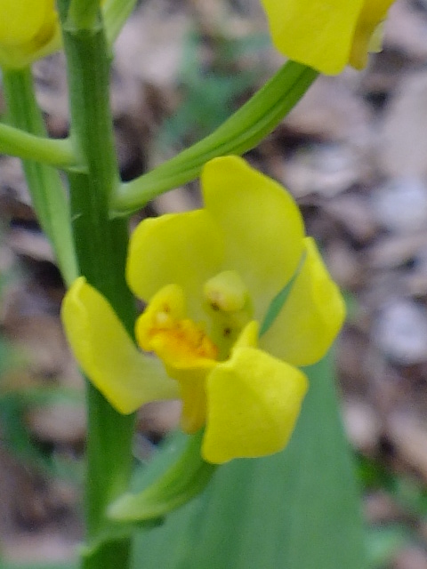 e0145782_15284933.jpg