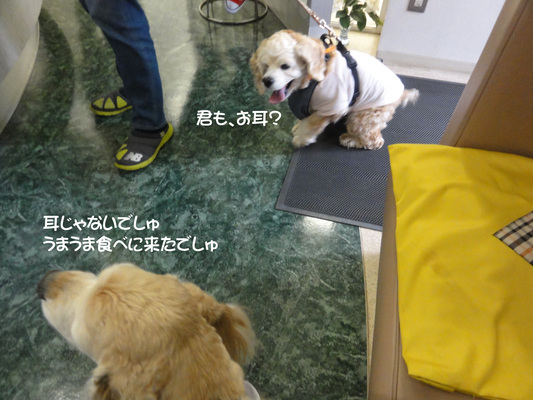 f0218182_16172351.jpg