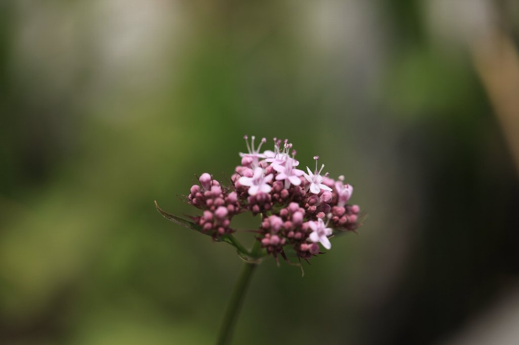 a0076683_1975524.jpg