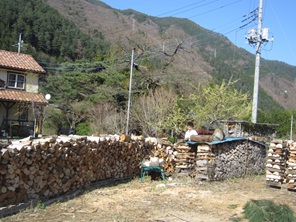 e0096485_11471343.jpg