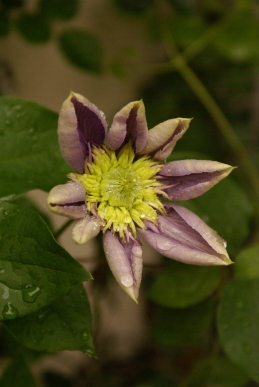 d0166389_0265980.jpg