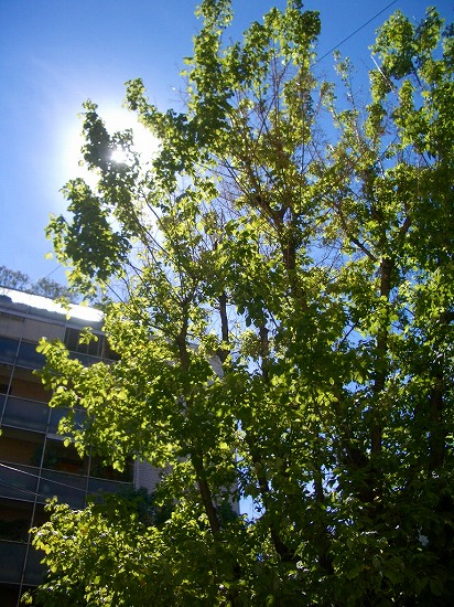 f0184289_2572948.jpg