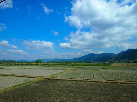a0146493_12273254.png