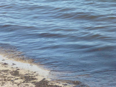 f0169397_534010.jpg