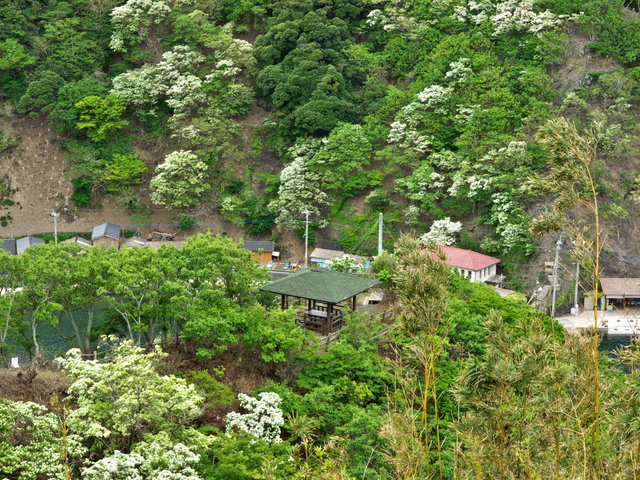 b0165802_025750.jpg