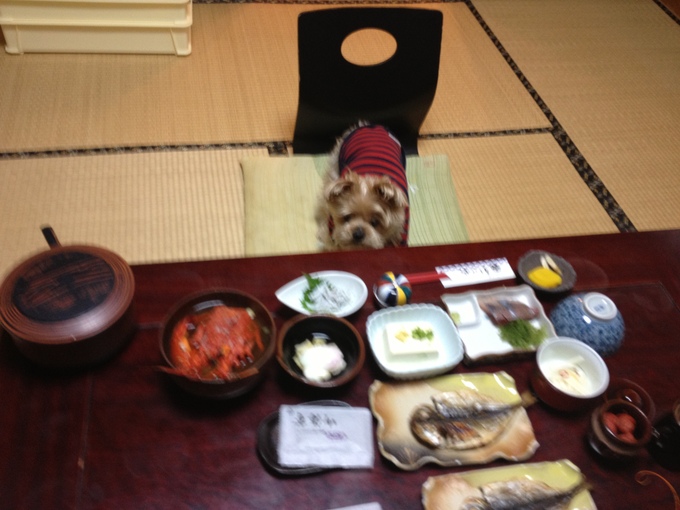 c0109109_084784.jpg