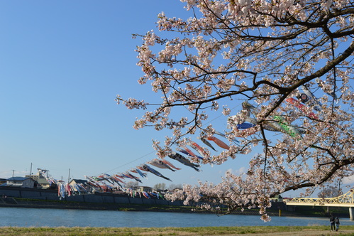 c0279611_2223324.jpg