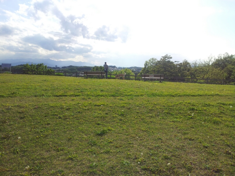 a0146431_1743484.jpg
