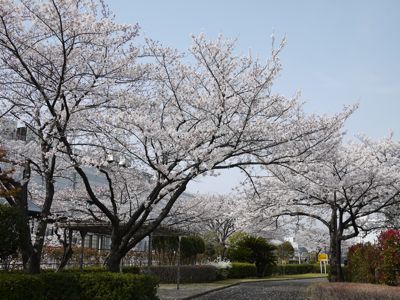 f0165831_15313737.jpg