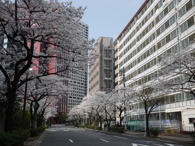 f0165831_15383563.jpg