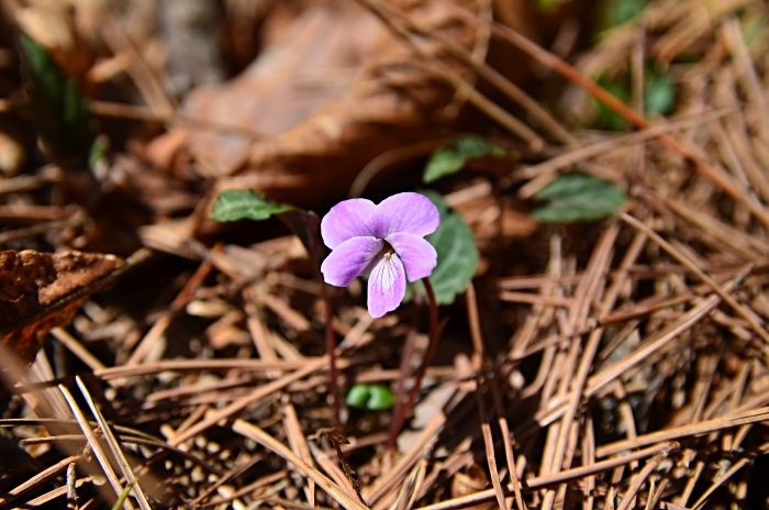 b0236334_16162348.jpg