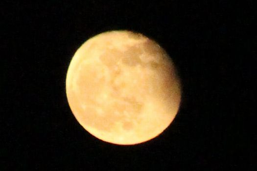 c0134734_0181530.jpg