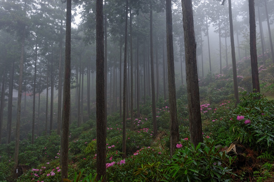 f0274536_1662116.jpg
